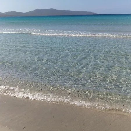 Casa Sonia 아파트 *