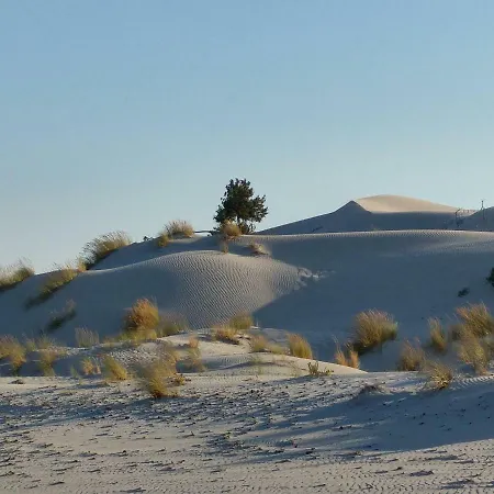 Casa Sonia 아파트 *